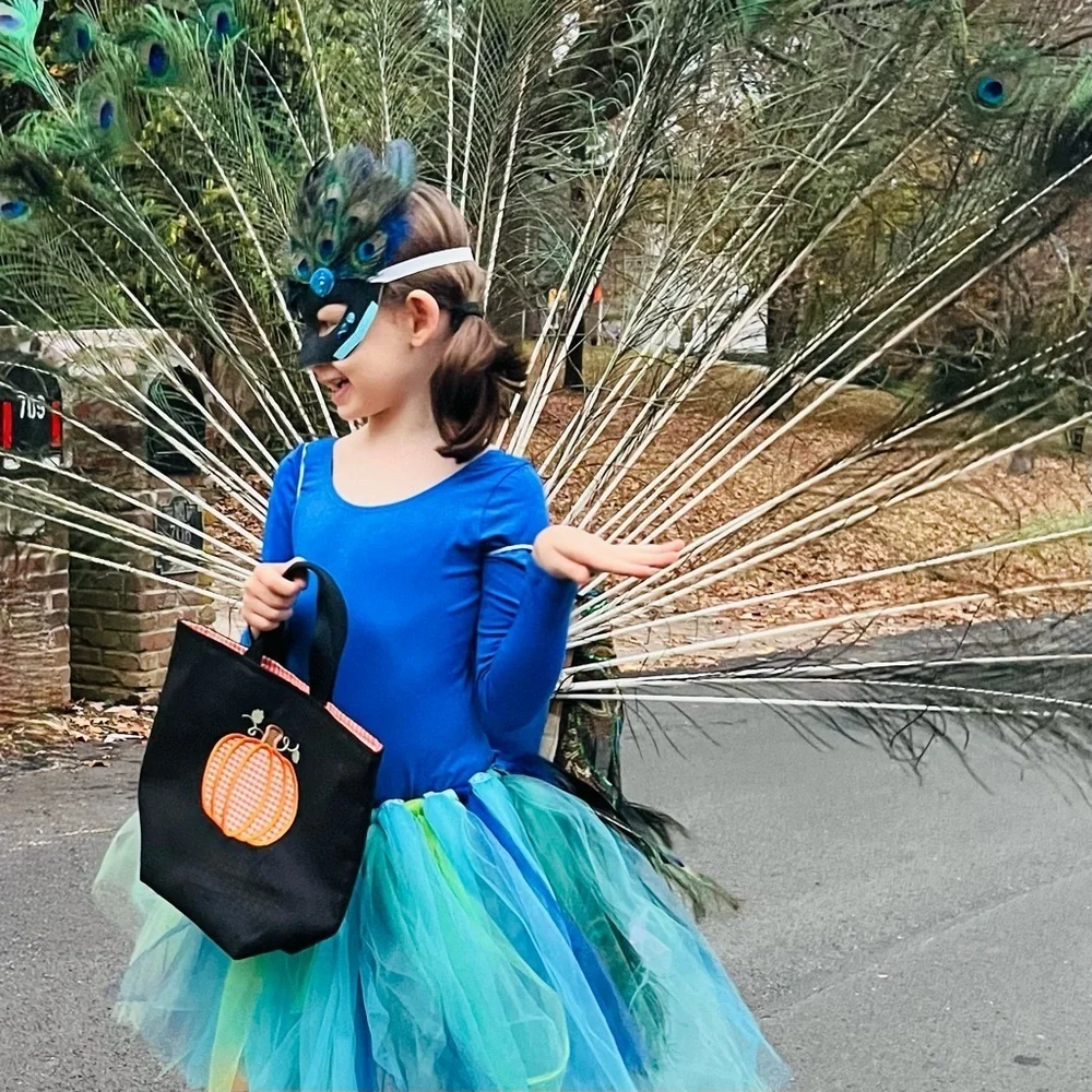 Handmade Peacock Costume Tulle Tutu Skirt and Fascinator – Girls Size 7 Dress-Up